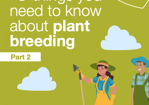 Plant Breeding from Syngenta